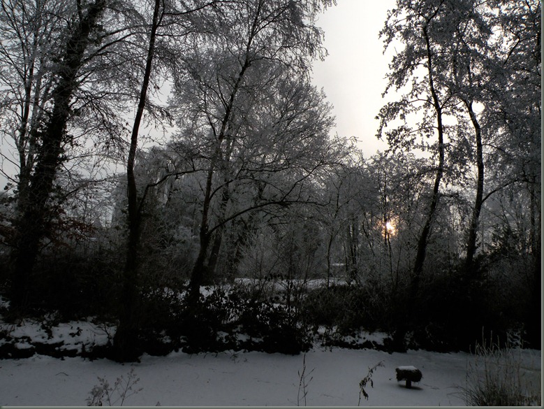 8 december 2010, een winters plaatje